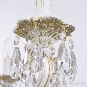 Подвесная люстра Bohemia Ivele Crystal AL7801 AL78101/10/250 A WMG в Нытве - nytva.mebel24.online | фото 7