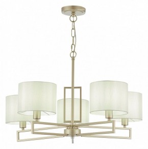 Подвесная люстра EVOLUCE Danae SLE105803-05 в Нытве - nytva.mebel24.online | фото 2