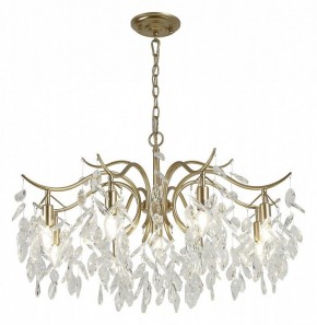 Подвесная люстра Favourite Brillo 3003-9P в Нытве - nytva.mebel24.online | фото 4