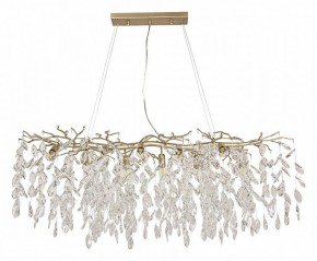 Подвесная люстра Favourite Brillo 3056-10P в Нытве - nytva.mebel24.online | фото 2