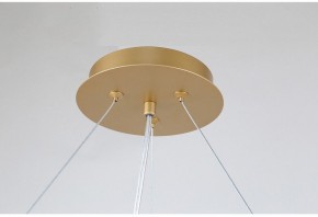 Подвесная люстра Favourite Ginkoa 4080-10P в Нытве - nytva.mebel24.online | фото 9
