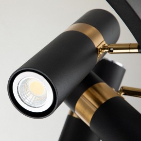 Подвесная люстра Favourite Light point 2997-9P в Нытве - nytva.mebel24.online | фото 5
