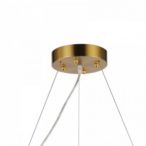 Подвесная люстра Favourite Magnitudo 2206-12P в Нытве - nytva.mebel24.online | фото 7