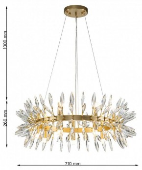 Подвесная люстра Favourite Rays 4058-14P в Нытве - nytva.mebel24.online | фото 7