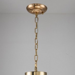 Подвесная люстра Favourite Rocca 2689-6P в Нытве - nytva.mebel24.online | фото 4