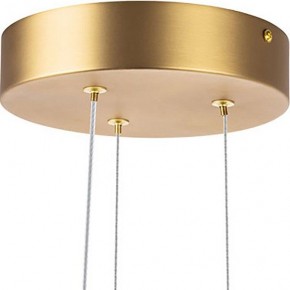 Подвесная люстра Lightstar Bergamo 745247 в Нытве - nytva.mebel24.online | фото 6