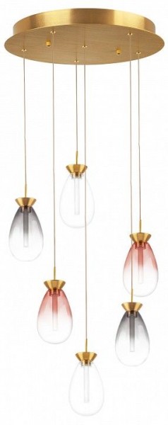 Подвесная люстра Lightstar Colore 805169 в Нытве - nytva.mebel24.online | фото