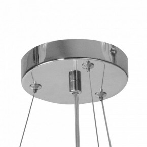 Подвесная люстра Lightstar Extra 721384 в Нытве - nytva.mebel24.online | фото 4