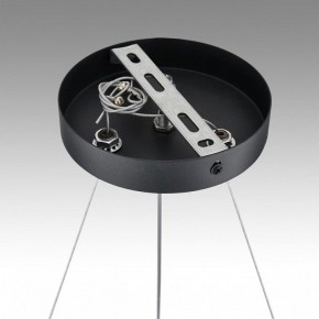 Подвесная люстра Lumion Luazana 8242/6 в Нытве - nytva.mebel24.online | фото 7