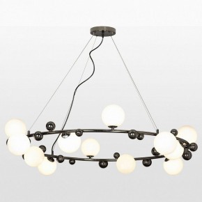 Подвесная люстра Lussole Coosa LSP-8654 в Нытве - nytva.mebel24.online | фото 3