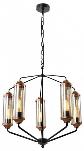 Подвесная люстра Lussole Fishers LSP-8800 в Нытве - nytva.mebel24.online | фото 2
