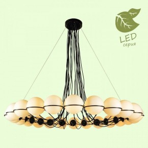 Подвесная люстра Lussole Seneca GRLSP-8176 в Нытве - nytva.mebel24.online | фото 3