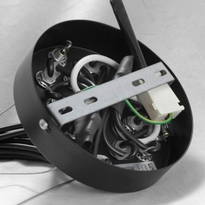 Подвесная люстра Lussole Seneca GRLSP-8177 в Нытве - nytva.mebel24.online | фото 10