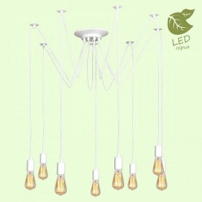 Подвесная люстра Lussole Shirley GRLSP-8173 в Нытве - nytva.mebel24.online | фото 3