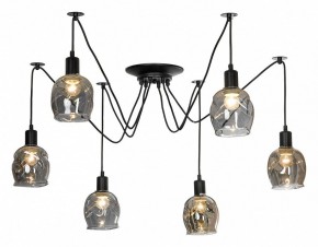 Подвесная люстра Lussole Shirley LSP-8436 в Нытве - nytva.mebel24.online | фото 2