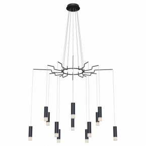 Подвесная люстра Maytoni Davida MOD035PL-12B в Нытве - nytva.mebel24.online | фото 2