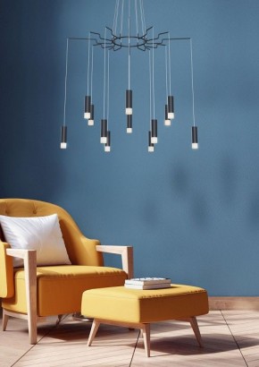 Подвесная люстра Maytoni Davida MOD035PL-12B в Нытве - nytva.mebel24.online | фото 5