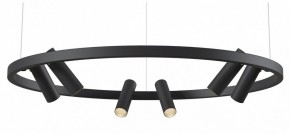 Подвесная люстра Maytoni Halo MOD102PL-L42BK в Нытве - nytva.mebel24.online | фото