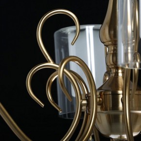 Подвесная люстра MW-Light Эллегия 8 303012708 в Нытве - nytva.mebel24.online | фото 7