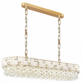 Подвесная люстра Odeon Light Chessi 5076/10 в Нытве - nytva.mebel24.online | фото 2