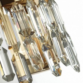 Подвесная люстра Odeon Light Dakisa 4986/12 в Нытве - nytva.mebel24.online | фото 8