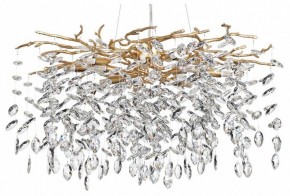 Подвесная люстра Odeon Light Delica 4969/10 в Нытве - nytva.mebel24.online | фото