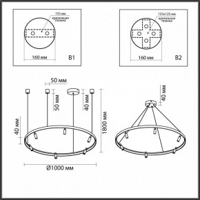 Подвесная люстра Odeon Light Fonda 4317/93L в Нытве - nytva.mebel24.online | фото 6