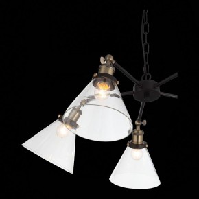 Подвесная люстра ST-Luce Evoluto SL237.413.05 в Нытве - nytva.mebel24.online | фото 7