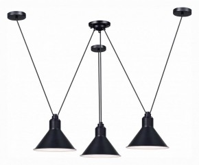 Подвесная люстра ST-Luce Svevo SL1804.403.03 в Нытве - nytva.mebel24.online | фото 2