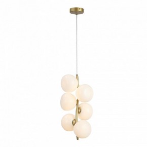 Подвесная люстра ST-Luce Sweven SL1519.303.06 в Нытве - nytva.mebel24.online | фото 4