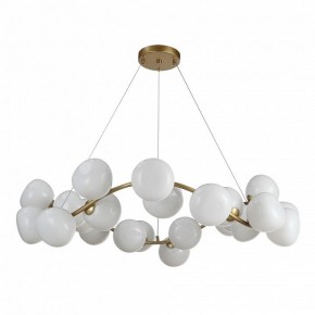 Подвесная люстра ST-Luce Sweven SL1519.303.24 в Нытве - nytva.mebel24.online | фото 2