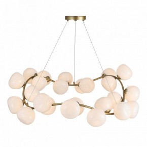 Подвесная люстра ST-Luce Sweven SL1519.303.24 в Нытве - nytva.mebel24.online | фото 4