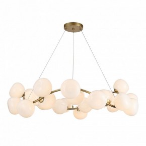 Подвесная люстра ST-Luce Sweven SL1519.303.24 в Нытве - nytva.mebel24.online | фото 5