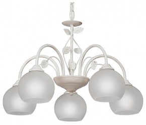 Подвесная люстра Vitaluce V3884 V3884-0/5 в Нытве - nytva.mebel24.online | фото