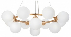 Подвесная люстра Vitaluce V48410 V48410-8/12S в Нытве - nytva.mebel24.online | фото