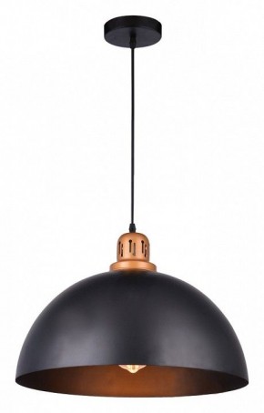 Подвесной светильник Arte Lamp Eurica A4249SP-1BK в Нытве - nytva.mebel24.online | фото 2