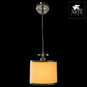 Подвесной светильник Arte Lamp Furore A3990SP-1CC в Нытве - nytva.mebel24.online | фото 3