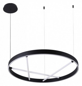 Подвесной светильник Arte Lamp Ricco A1874SP-45BK в Нытве - nytva.mebel24.online | фото 2