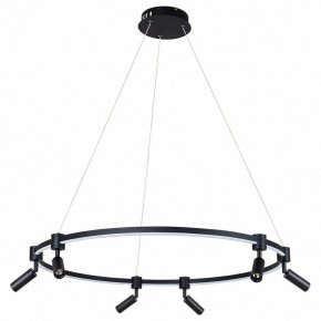Подвесной светильник Arte Lamp Ring A2186SP-1BK в Нытве - nytva.mebel24.online | фото 2