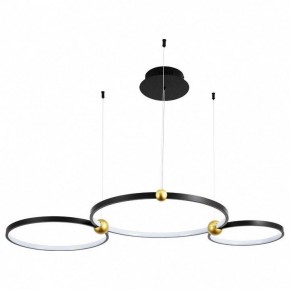 Подвесной светильник Divinare Amadeo 1123/04 SP-75 в Нытве - nytva.mebel24.online | фото