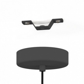 Подвесной светильник Eglo Almerimar 390173 в Нытве - nytva.mebel24.online | фото 4