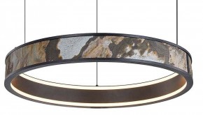 Подвесной светильник Favourite Lago 4598-1P в Нытве - nytva.mebel24.online | фото