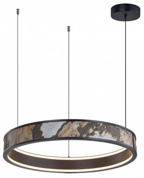 Подвесной светильник Favourite Lago 4598-1P в Нытве - nytva.mebel24.online | фото 2