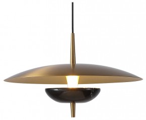 Подвесной светильник Favourite Marmo 4246-1P в Нытве - nytva.mebel24.online | фото