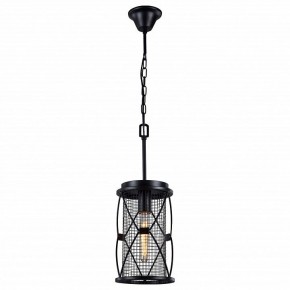 Подвесной светильник Favourite Mesh 1783-1P в Нытве - nytva.mebel24.online | фото 2