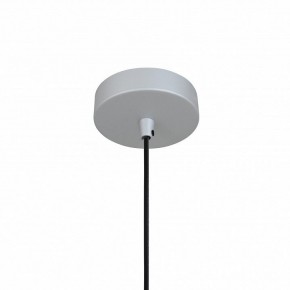 Подвесной светильник Favourite Otium 2270-1P в Нытве - nytva.mebel24.online | фото 4