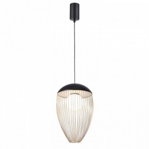 Подвесной светильник Favourite Сore 4241-1P в Нытве - nytva.mebel24.online | фото 2