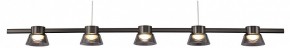 Подвесной светильник Favourite Twix 4247-5P в Нытве - nytva.mebel24.online | фото
