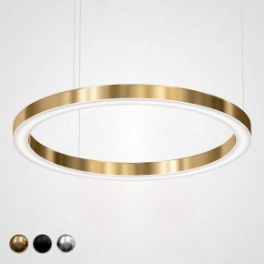 Подвесной светильник Imperiumloft Light Ring Horizontal 40.1454-100 в Нытве - nytva.mebel24.online | фото