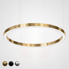 Подвесной светильник Imperiumloft Light Ring Horizontal 40.1454-120 в Нытве - nytva.mebel24.online | фото